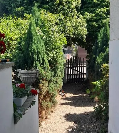 Skyview Mountain Panorama Apartament