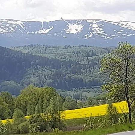 Skyview Mountain Panorama