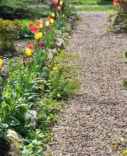 Skyview Mountain Panorama Apartment *