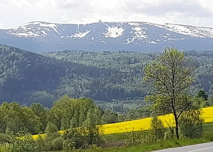 Skyview Mountain Panorama